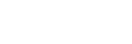 The Bridge Brands